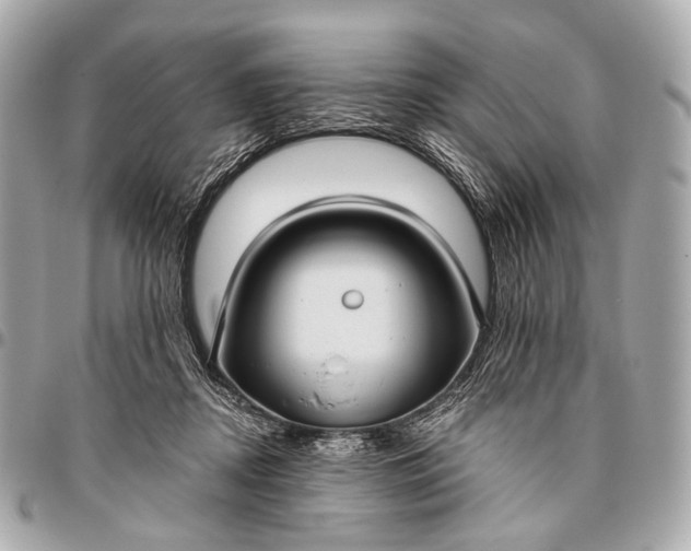 X0000096450362200802071817