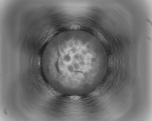 X0000096450363200802071817