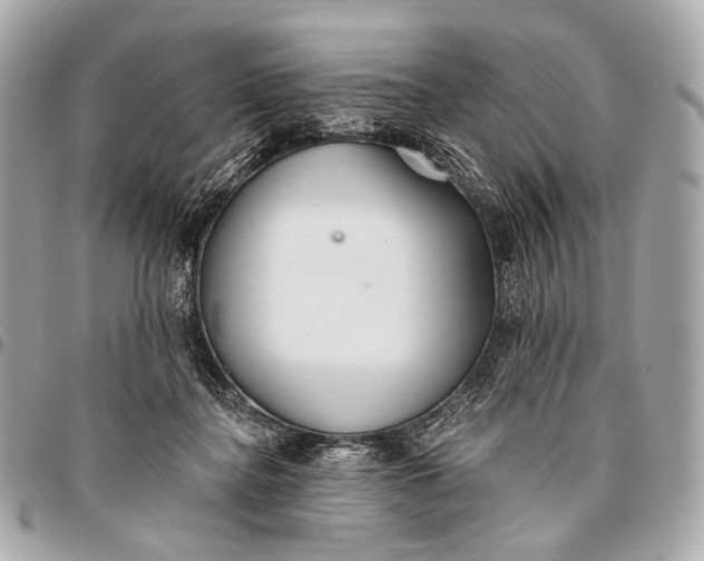 X0000096450364200802071817