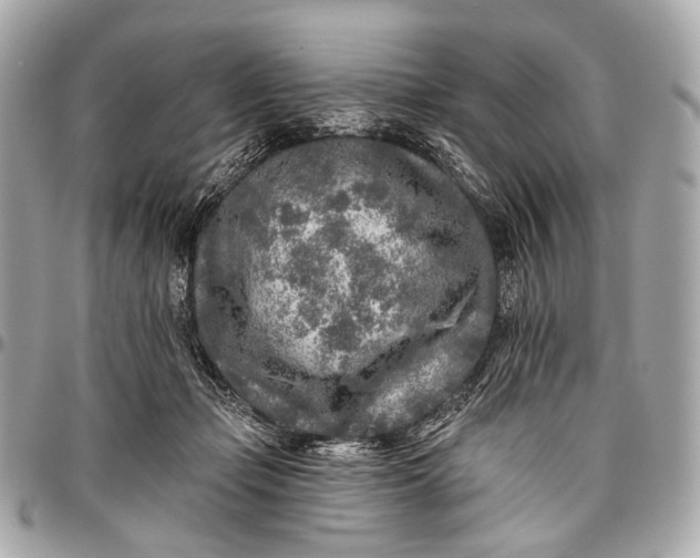 X0000096450365200802071817