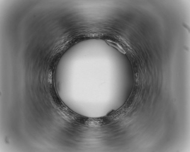 X0000096450368200802071817