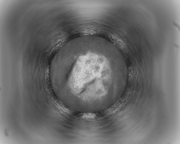 X0000096450369200802071817