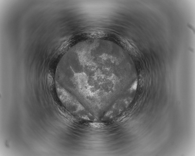 X0000096450371200802071817