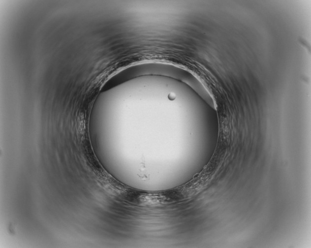 X0000096450372200802071817