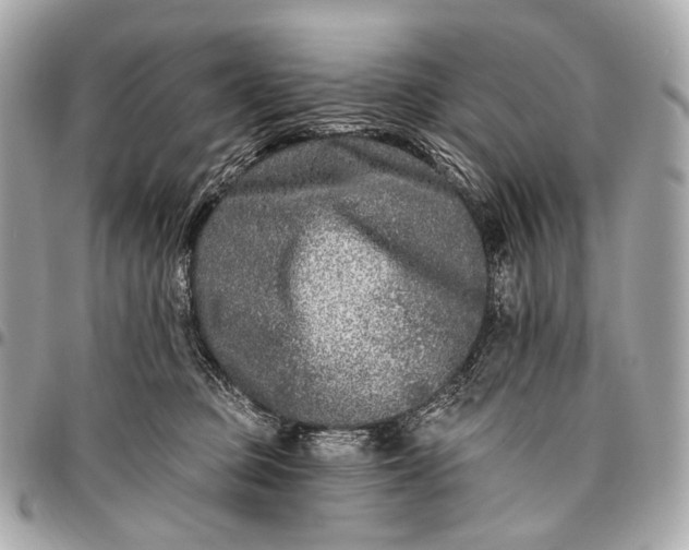 X0000096450373200802071817