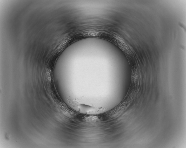 X0000096450374200802071817