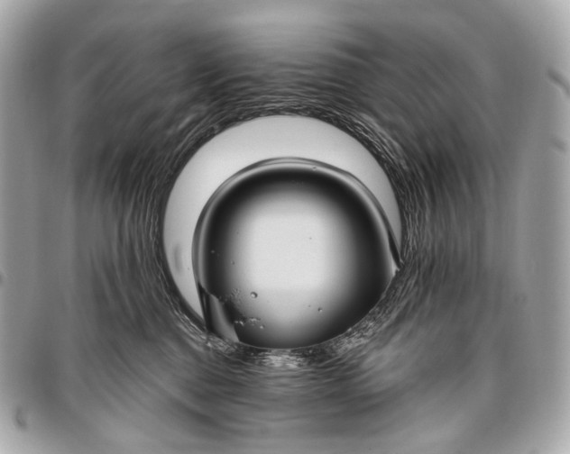 X0000096450376200802071817