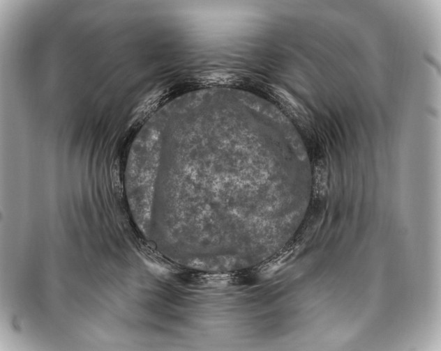 X0000096450377200802071817