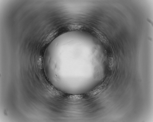 X0000096450378200802071817