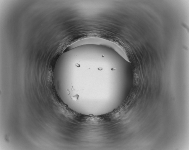 X0000096450379200802071817