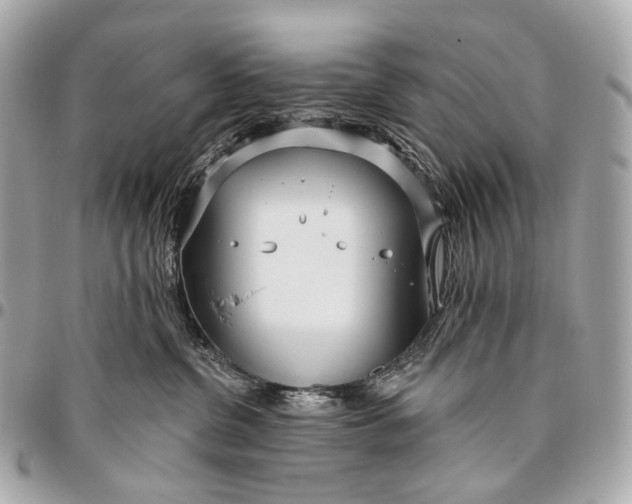 X0000096450380200802071817