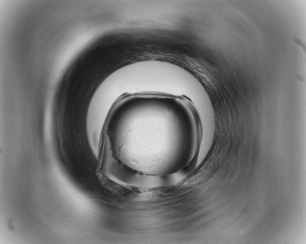 X0000096450382200802071817