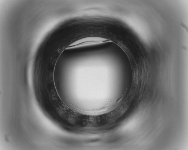 X0000096450383200802071817