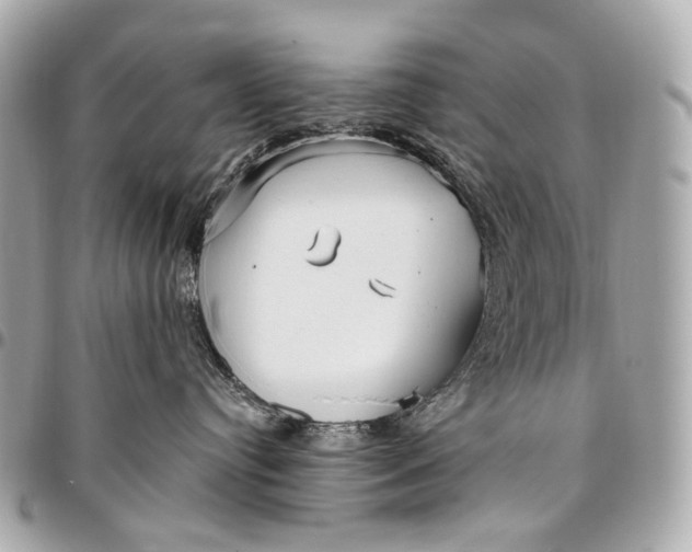 X0000096450384200802071817