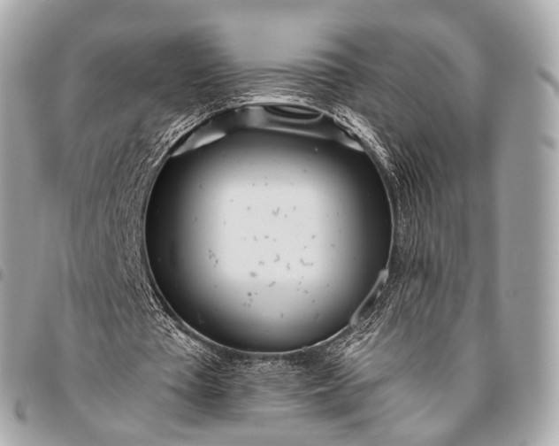 X0000096450385200802071816