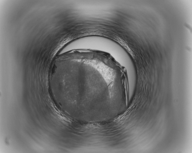 X0000096450386200802071816