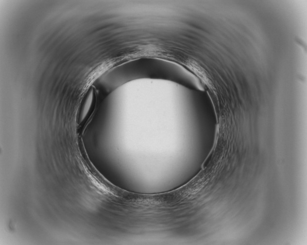 X0000096450389200802071816