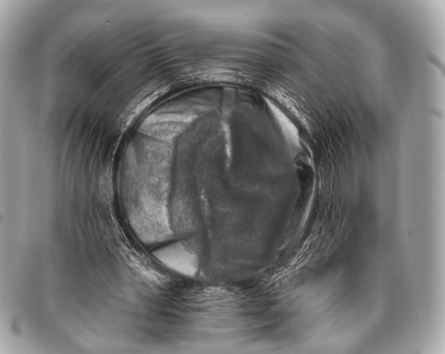 X0000096450390200802071816