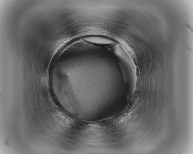 X0000096450391200802071816