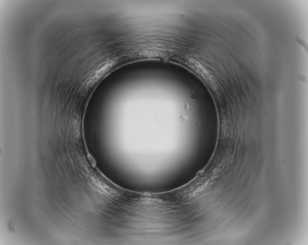 X0000096450393200802071816