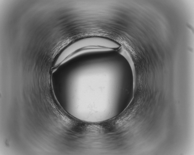 X0000096450397200802071816