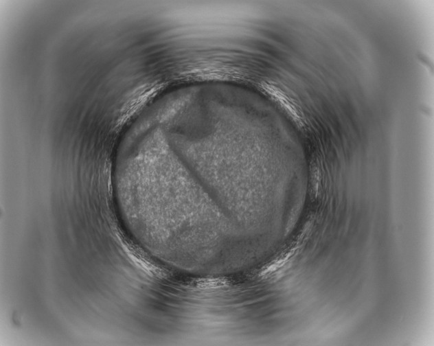 X0000096450398200802071816