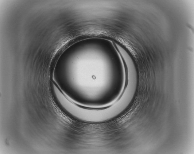 X0000096450399200802071816