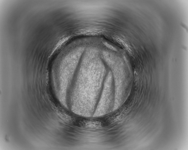 X0000096450400200802071816