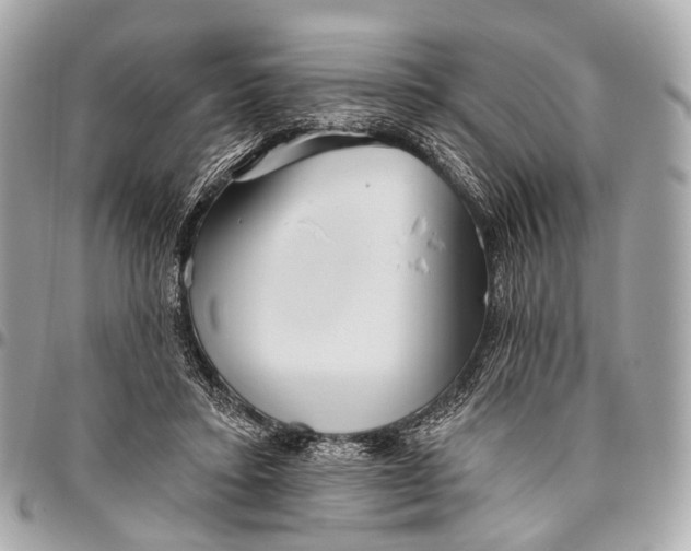 X0000096450403200802071816