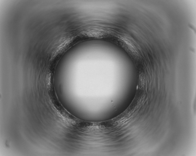 X0000096450404200802071816