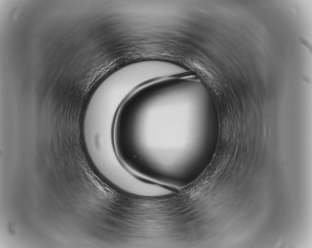 X0000096450405200802071816