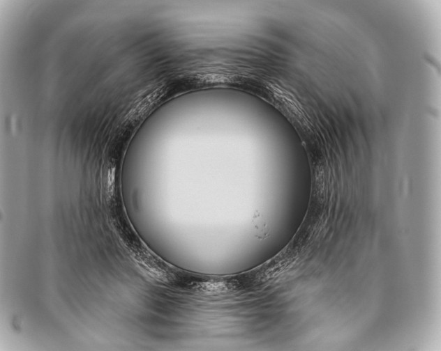 X0000096450406200802071816