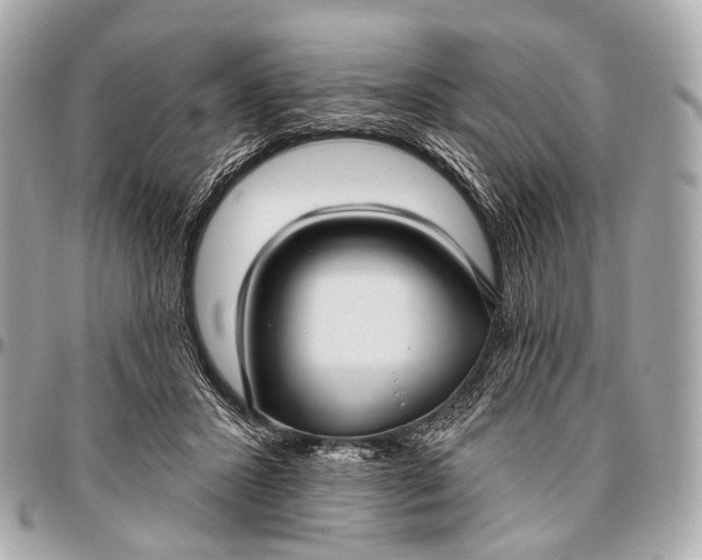 X0000096450407200802071816