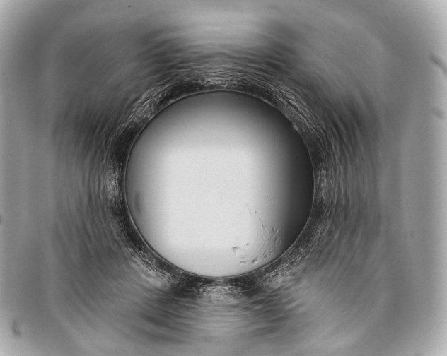 X0000096450408200802071816