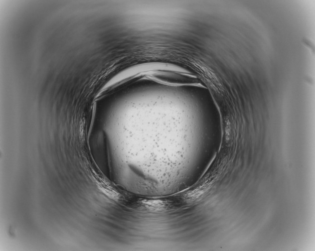 X0000096450409200802071816