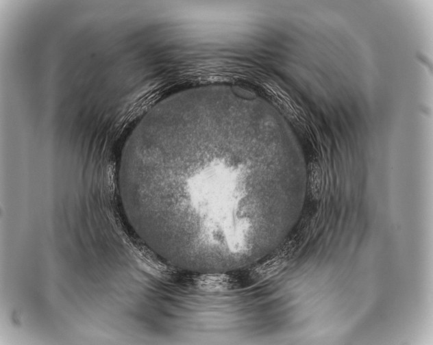 X0000096450410200802071816