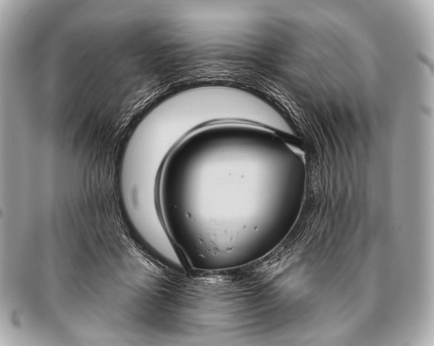 X0000096450411200802071816