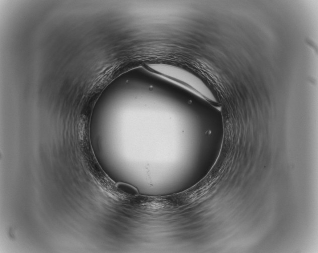 X0000096450412200802071816