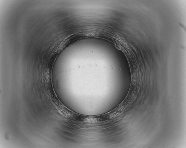 X0000096450413200802071816