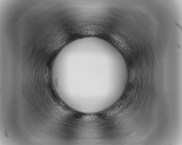 X0000096450414200802071816