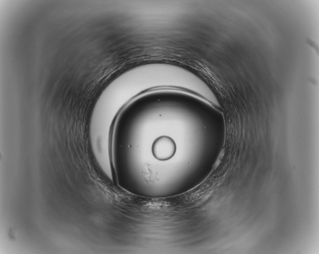 X0000096450415200802071816