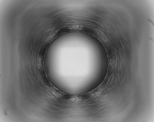 X0000096450416200802071816