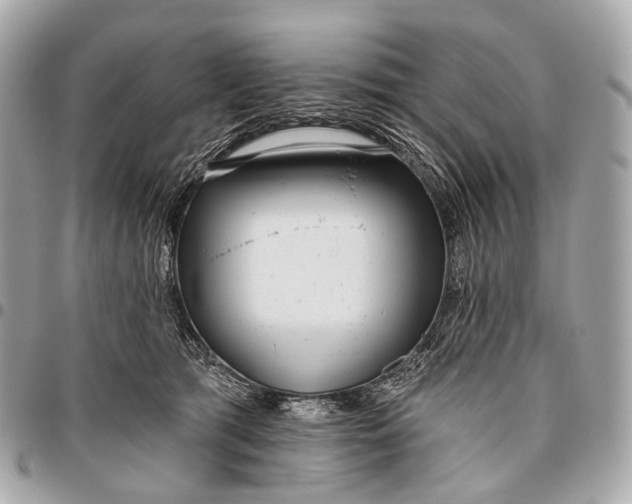 X0000096450417200802071816