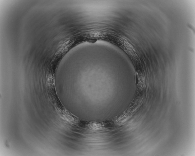 X0000096450419200802071816