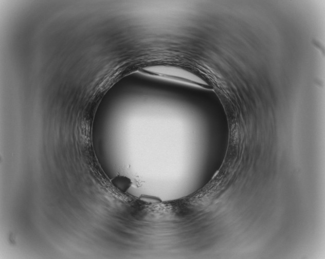 X0000096450421200802071816