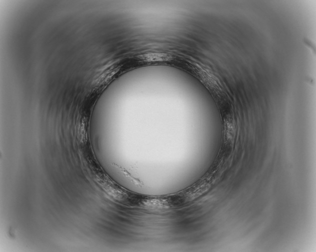 X0000096450422200802071816