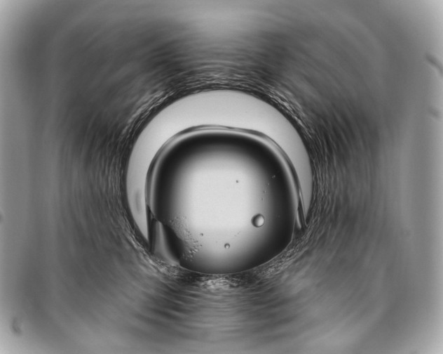 X0000096450423200802071816