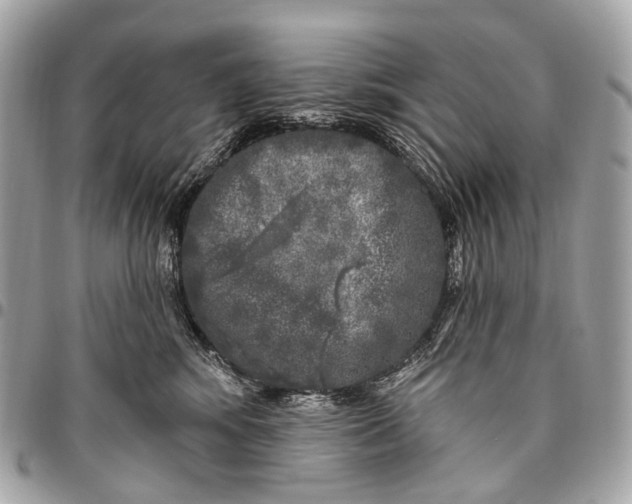 X0000096450424200802071816