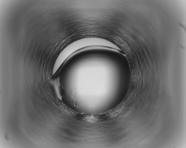 X0000096450425200802071816