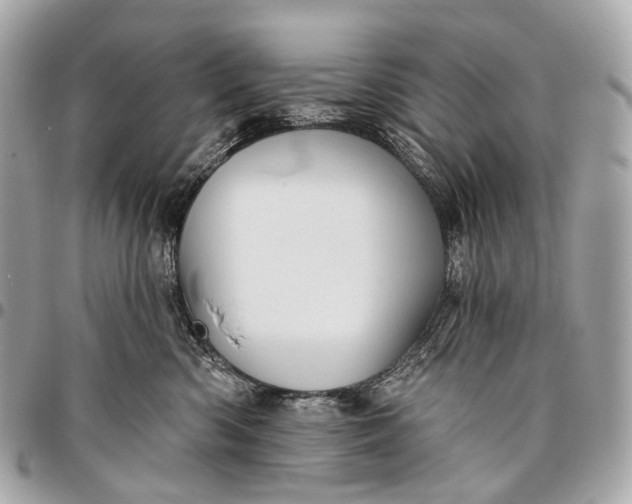 X0000096450426200802071816